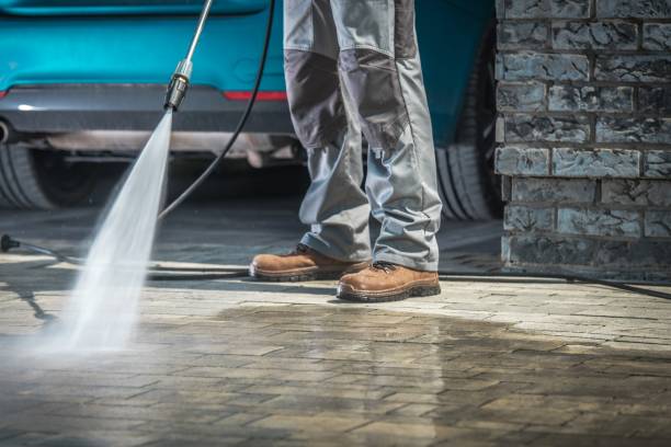 Best Building Exterior Washing  in Wolf Point, MT
